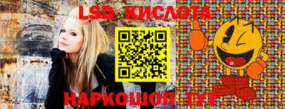 крисы Лесосибирск
