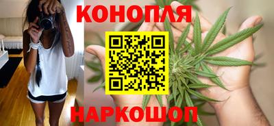крисы Лесосибирск