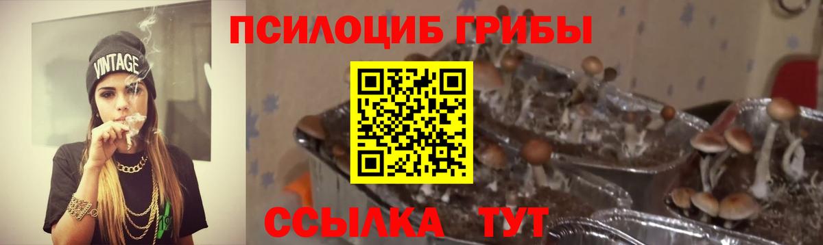 Галлюциногенные грибы ЛСД Балашов